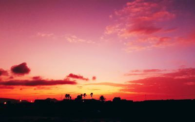 Le carnet du voyageur, par Cool Life Fuerteventura